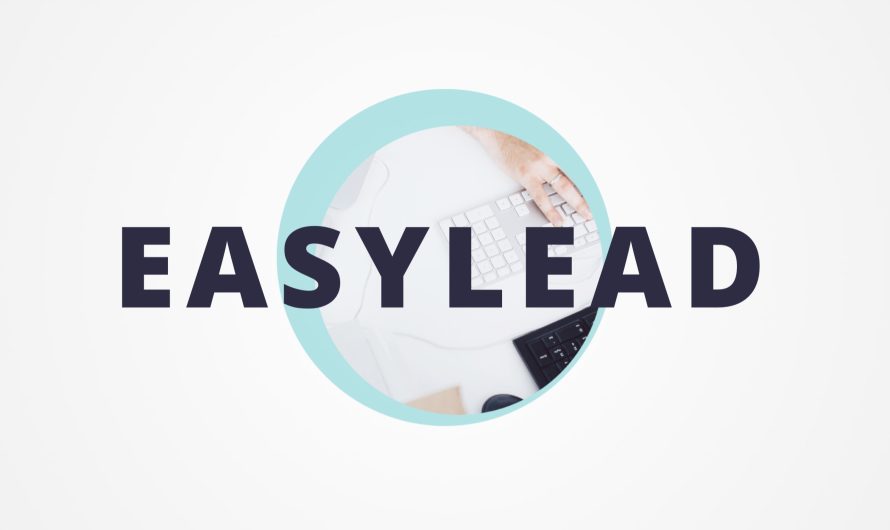 Презентация для веба об услугах Easylead.ru, 2017