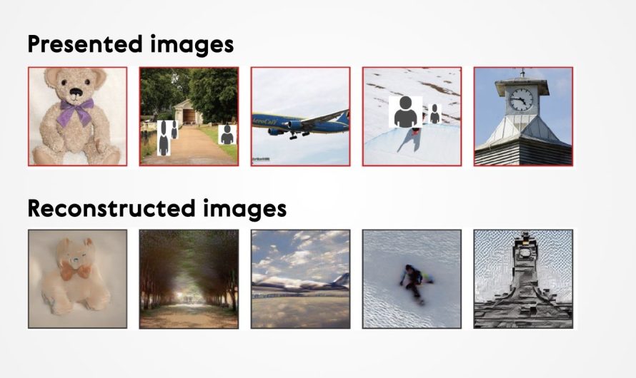 Успешный пилот воссоздания образов по снимкам фМРТ, используя Stable Diffusion алгоритм