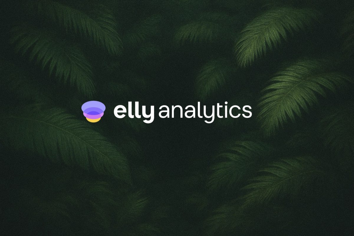 Elly Analytics Product Overview Video Script, 2024