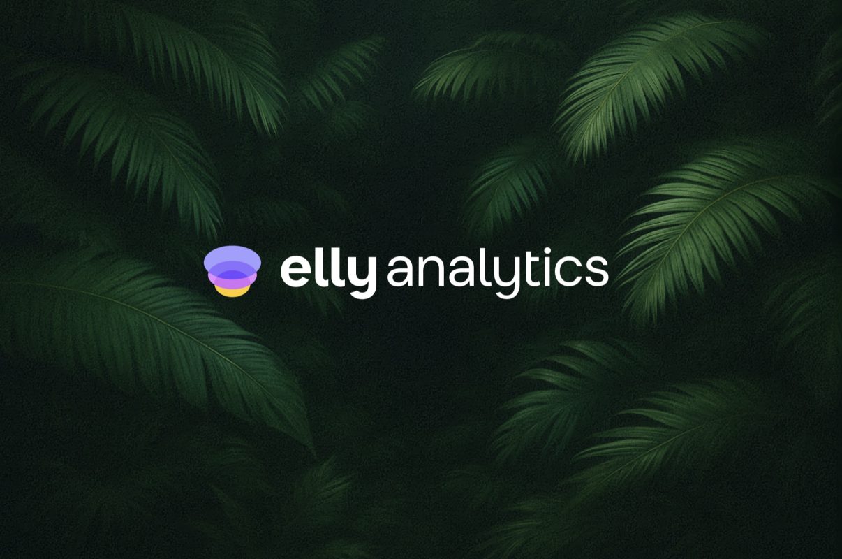 Сценарий тизера Elly Analytics, 2024