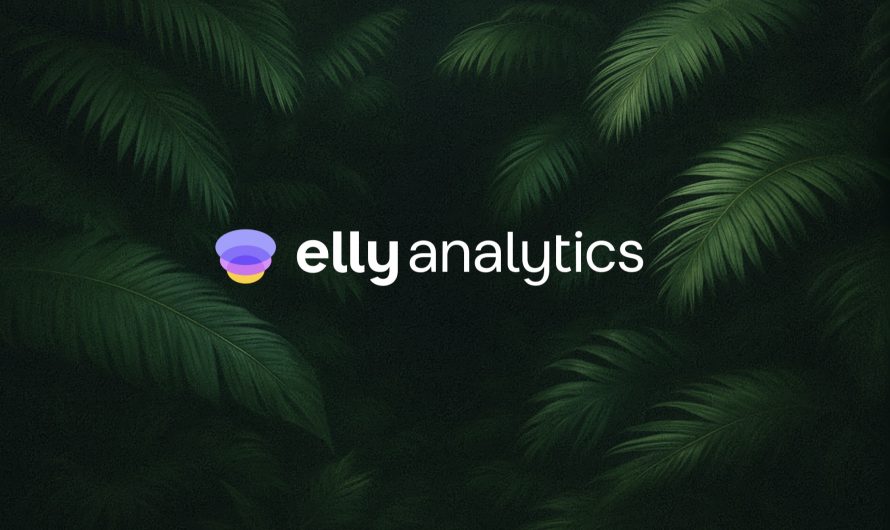 Сценарий тизера Elly Analytics, 2024